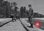 Image of Railroad safety United States USA, 1951, second 43 stock footage video 65675031553