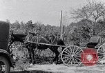 Standbild Negro Kinder South Carolina United States USA, 1936, aus Sekunde 49 historischem Filmmaterial Videoclip 65675031558