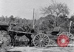 Standbild Negro Kinder South Carolina United States USA, 1936, aus Sekunde 50 historischem Filmmaterial Videoclip 65675031558