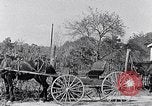 Standbild Negro Kinder South Carolina United States USA, 1936, aus Sekunde 52 historischem Filmmaterial Videoclip 65675031558