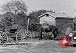 Standbild Negro Kinder South Carolina United States USA, 1936, aus Sekunde 53 historischem Filmmaterial Videoclip 65675031558