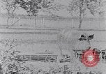 Standbild Ackerland South Carolina United States USA, 1936, aus Sekunde 3 historischem Filmmaterial Videoclip 65675031561