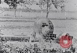 Standbild Ackerland South Carolina United States USA, 1936, aus Sekunde 4 historischem Filmmaterial Videoclip 65675031561