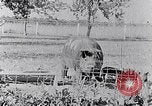 Standbild Ackerland South Carolina United States USA, 1936, aus Sekunde 5 historischem Filmmaterial Videoclip 65675031561