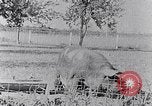 Standbild Ackerland South Carolina United States USA, 1936, aus Sekunde 7 historischem Filmmaterial Videoclip 65675031561