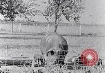 Standbild Ackerland South Carolina United States USA, 1936, aus Sekunde 8 historischem Filmmaterial Videoclip 65675031561