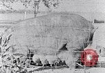 Standbild Ackerland South Carolina United States USA, 1936, aus Sekunde 9 historischem Filmmaterial Videoclip 65675031561