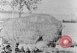 Standbild Ackerland South Carolina United States USA, 1936, aus Sekunde 12 historischem Filmmaterial Videoclip 65675031561