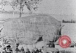 Standbild Ackerland South Carolina United States USA, 1936, aus Sekunde 13 historischem Filmmaterial Videoclip 65675031561
