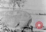Standbild Ackerland South Carolina United States USA, 1936, aus Sekunde 21 historischem Filmmaterial Videoclip 65675031561