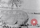 Standbild Ackerland South Carolina United States USA, 1936, aus Sekunde 23 historischem Filmmaterial Videoclip 65675031561