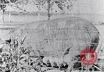Standbild Ackerland South Carolina United States USA, 1936, aus Sekunde 27 historischem Filmmaterial Videoclip 65675031561