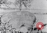 Standbild Ackerland South Carolina United States USA, 1936, aus Sekunde 29 historischem Filmmaterial Videoclip 65675031561