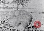 Standbild Ackerland South Carolina United States USA, 1936, aus Sekunde 30 historischem Filmmaterial Videoclip 65675031561