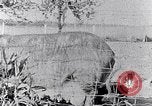 Standbild Ackerland South Carolina United States USA, 1936, aus Sekunde 31 historischem Filmmaterial Videoclip 65675031561