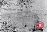 Standbild Ackerland South Carolina United States USA, 1936, aus Sekunde 32 historischem Filmmaterial Videoclip 65675031561