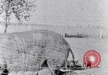 Standbild Ackerland South Carolina United States USA, 1936, aus Sekunde 34 historischem Filmmaterial Videoclip 65675031561