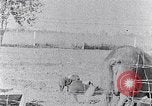 Standbild Ackerland South Carolina United States USA, 1936, aus Sekunde 37 historischem Filmmaterial Videoclip 65675031561