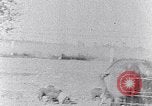 Standbild Ackerland South Carolina United States USA, 1936, aus Sekunde 38 historischem Filmmaterial Videoclip 65675031561