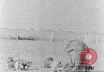 Standbild Ackerland South Carolina United States USA, 1936, aus Sekunde 39 historischem Filmmaterial Videoclip 65675031561