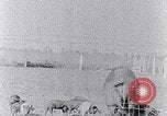 Standbild Ackerland South Carolina United States USA, 1936, aus Sekunde 40 historischem Filmmaterial Videoclip 65675031561