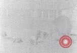 Standbild Ackerland South Carolina United States USA, 1936, aus Sekunde 41 historischem Filmmaterial Videoclip 65675031561