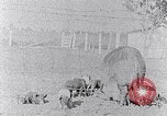 Standbild Ackerland South Carolina United States USA, 1936, aus Sekunde 44 historischem Filmmaterial Videoclip 65675031561
