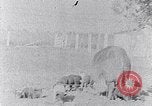 Standbild Ackerland South Carolina United States USA, 1936, aus Sekunde 45 historischem Filmmaterial Videoclip 65675031561