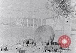 Standbild Ackerland South Carolina United States USA, 1936, aus Sekunde 46 historischem Filmmaterial Videoclip 65675031561