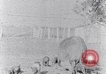 Standbild Ackerland South Carolina United States USA, 1936, aus Sekunde 47 historischem Filmmaterial Videoclip 65675031561