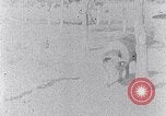Standbild Ackerland South Carolina United States USA, 1936, aus Sekunde 48 historischem Filmmaterial Videoclip 65675031561