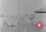 Standbild Ackerland South Carolina United States USA, 1936, aus Sekunde 57 historischem Filmmaterial Videoclip 65675031561