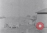 Standbild Ackerland South Carolina United States USA, 1936, aus Sekunde 60 historischem Filmmaterial Videoclip 65675031561