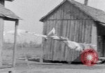 Image of African American life South Carolina United States USA, 1936, second 46 stock footage video 65675031567