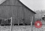 Image of African American life South Carolina United States USA, 1936, second 61 stock footage video 65675031567