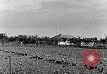 Image of African American people South Carolina United States USA, 1936, second 8 stock footage video 65675031570
