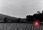 Image of African American people South Carolina United States USA, 1936, second 10 stock footage video 65675031570