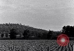 Image of African American people South Carolina United States USA, 1936, second 11 stock footage video 65675031570