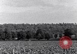 Image of African American people South Carolina United States USA, 1936, second 14 stock footage video 65675031570