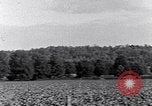 Image of African American people South Carolina United States USA, 1936, second 15 stock footage video 65675031570