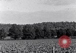 Image of African American people South Carolina United States USA, 1936, second 16 stock footage video 65675031570