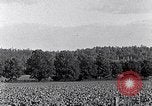 Image of African American people South Carolina United States USA, 1936, second 17 stock footage video 65675031570