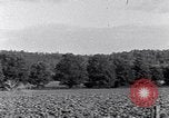 Image of African American people South Carolina United States USA, 1936, second 18 stock footage video 65675031570