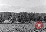 Image of African American people South Carolina United States USA, 1936, second 20 stock footage video 65675031570