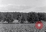 Image of African American people South Carolina United States USA, 1936, second 21 stock footage video 65675031570