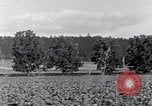 Image of African American people South Carolina United States USA, 1936, second 22 stock footage video 65675031570