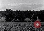 Image of African American people South Carolina United States USA, 1936, second 24 stock footage video 65675031570