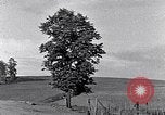 Image of African American people South Carolina United States USA, 1936, second 37 stock footage video 65675031570
