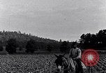 Image of African American people South Carolina United States USA, 1936, second 39 stock footage video 65675031570