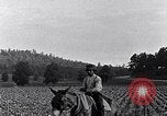 Image of African American people South Carolina United States USA, 1936, second 40 stock footage video 65675031570